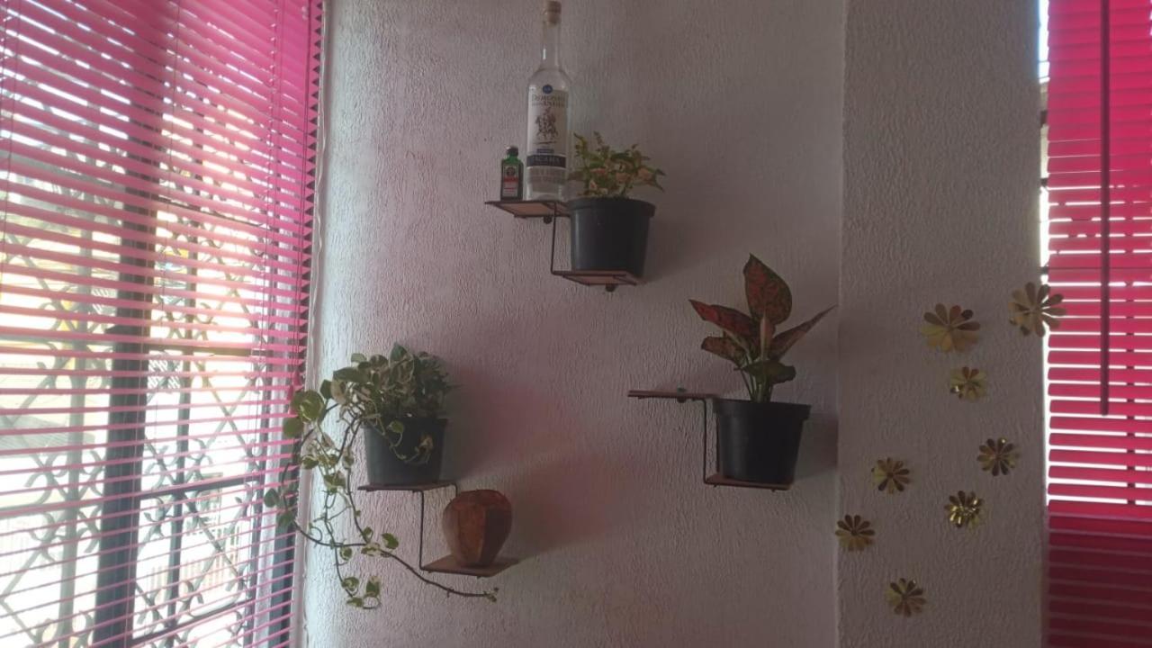 Cat Family Lodging Apartamento Cartagena Exterior foto